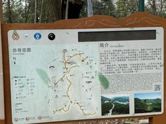 -十里琅珰