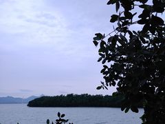 -深圳湾公园(南山区)