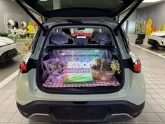 -上海浦东smart汽车全功能店(金桥店)