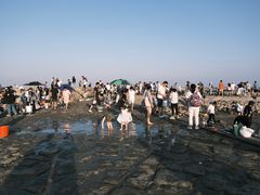 -南汇嘴观海公园