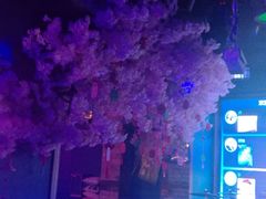 -好久不见网红乐队酒吧(鼓浪屿海底世界店)