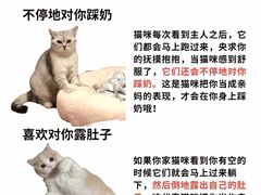 -美迦爱动物医院·夜诊(朝阳路诊疗中心)