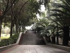 -重庆平顶山公园