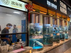 -老船舫·现做活鲜鱼馆(东郊记忆店)