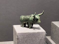 -广西壮族自治区博物馆