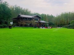 -合肥滨湖国家森林公园