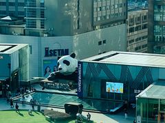 -成都尼依格罗酒店