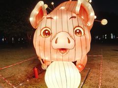 -文华公园(禅城区)