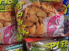 -三叔公