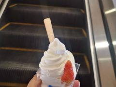 -兰熊鲜奶(颐堤港店)