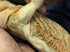 -爱诺耐芙动物医院(万博店)