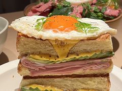 -O'eat Blossom&Pelican(深圳首店)