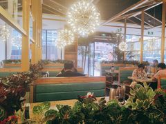 -原味四季椰子鸡(公明百佳华店)