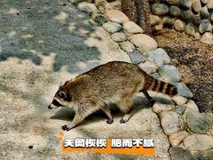 -北京野生动物园