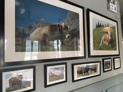 -Geneva日内瓦餐厅(西郊宝成花苑店)