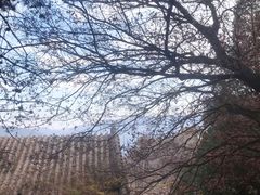 -妙峰山风景名胜区