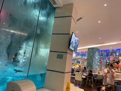 -帝企鹅自助餐厅•儿童岛•真企鹅(长隆企鹅酒店)