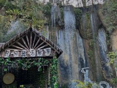 -西双版纳原始森林公园