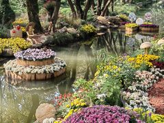 -上海共青森林公园