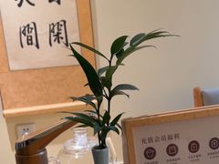 -小茶闲舍·观景商务茶馆(广州塔店)