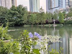 -荔枝公园(福田区)