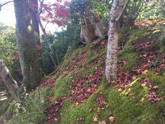 -常寂光寺