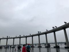 -人民防洪胜利纪念塔