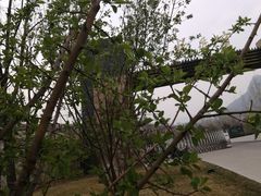 -黄金寨原生态旅游区