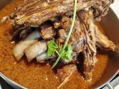 -蝎王府羊蝎子(北大地店)