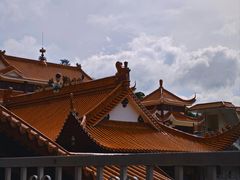 -深圳仙湖植物园