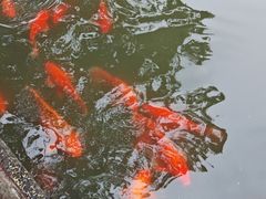 -丝绸小镇荻港古村
