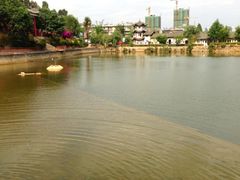 iphone_upload_pic-三碗水湖生态园