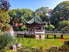 -申粤轩酒楼(丁香花园店)