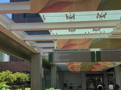 -香港大学