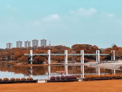 -东莞植物园