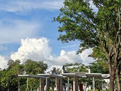 -宝安西湾红树林湿地公园