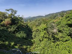 -深圳仙湖植物园