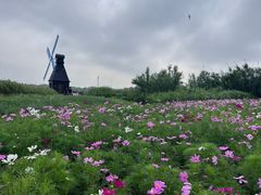 -宁波杭州湾国家湿地公园