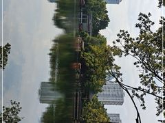 -荔湾湖公园