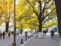 -四川大学(华西校区)