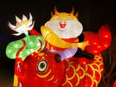 -南宫五洲植物乐园