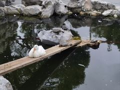 -龙华寺