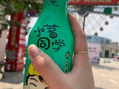 -国色天乡三期陆地乐园