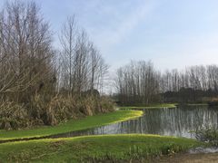 -桤木河湿地公园