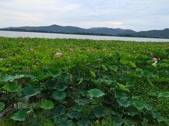 -石湖景区