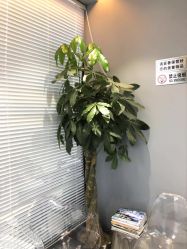 -木北造型