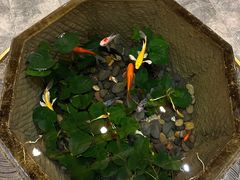 -时光漫步S酒店(成都宽窄巷子店)