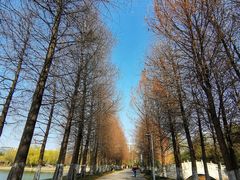 -石湖景区