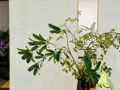 -七色云蔬食(喜邻里店)