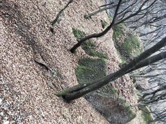 -玉华宫景区